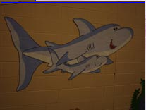 Seaworld Theme