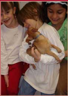 Michael and the Chihuahua