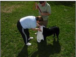 Zoi getting toweled off